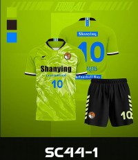 Professional League Soccer Jersey